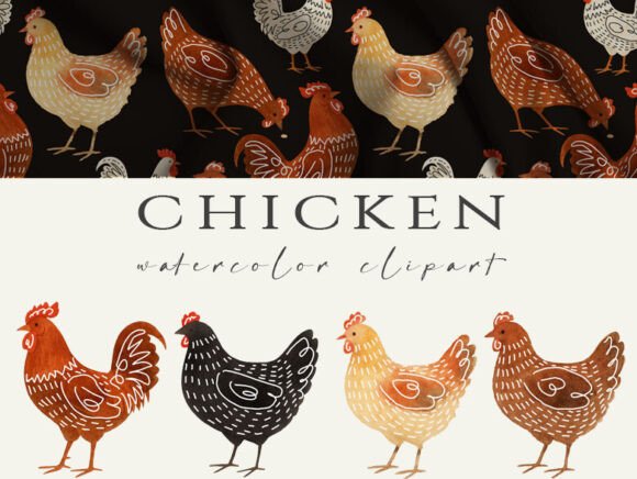 Bringing Farm Fresh Simplicity to Life with Minimalist Watercolor Chicken Rooster Art