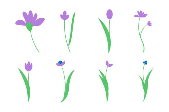 Elevating Design with Minimalist Floral Illustrations