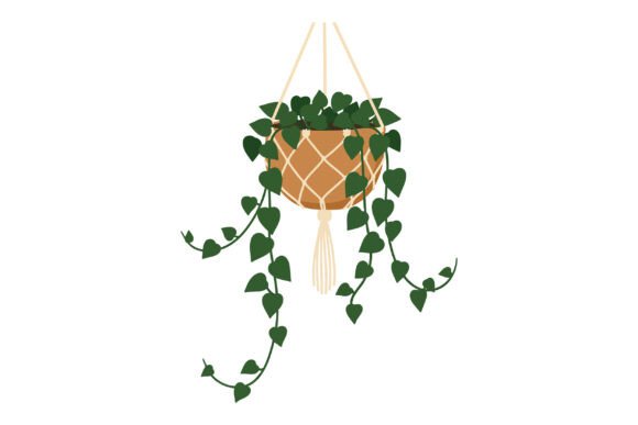 Strategic Visuals: Leveraging the Hanging Pothos Plant in Macrame Pot Hold for Brand Aesthetics